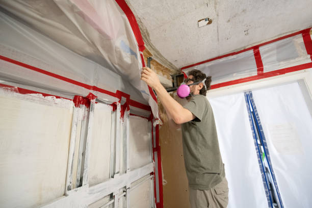 Best Water Damage & Mold Remediation  in USA